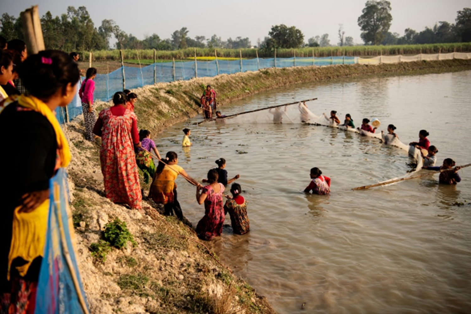 I Nepal ødelægger klimaforandringerne de traditionelle rismarker. I landsbyen Parsatal har indbyggerne fået hjælp til at lave de tidligere rismarker om til en fiskesø. Hvert år sætter Folkekirkens Nødhjælp 5.000 småfisk ud i den kunstige sø. Foto: Jakob Dall